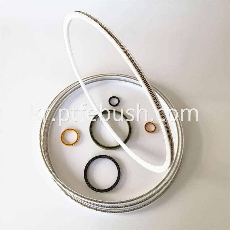 Spring Energized Ptfe Seal